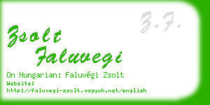 zsolt faluvegi business card